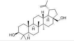 Natuurlijk berkenschors-extract betuline 0