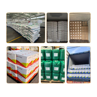 Food Grade Coconut Flavor for Baking and Beverages